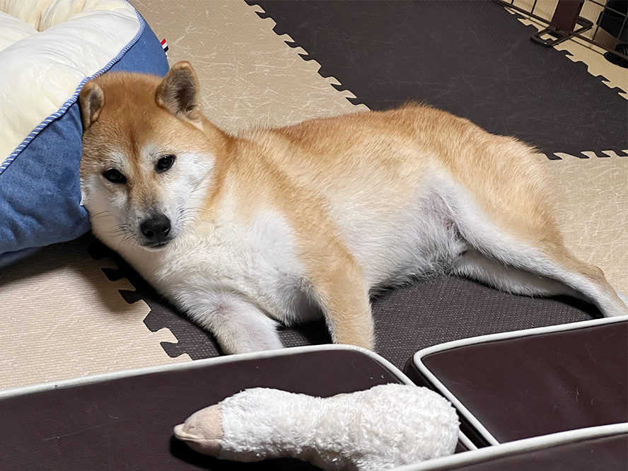 Ez4dunweeji18m Ez4dunweeji18m