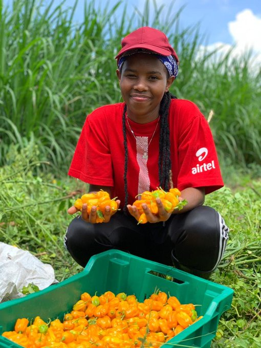 AkezaGermaine's tweet photo. A QUICK FACT
Happy International Women's day #IWD22
Women comprise about 43 percent of the agricultural labor force globally.
Let's #breakthebias around women in #Agriculture. https://t.co/IqYCHiZweU