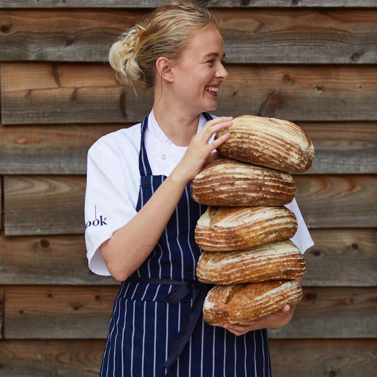 The Fish Hotel tweet media