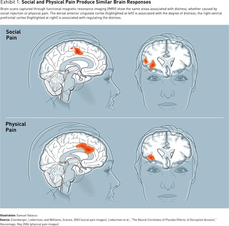 muzzashark's tweet photo. Did you know that brain processed words that hurt you the same way a punches did?🤜🏻🧠

And everytime u feel ‘sakit hati’ with what they said, the tendons in your heart can really putus which could leads you to death?😂

Sbbtu orang kata lidah ni lagi tajam dari pedang. Jaga mulut https://t.co/daiAeSxWvo