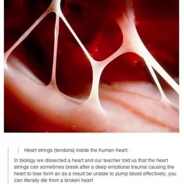 muzzashark's tweet photo. Did you know that brain processed words that hurt you the same way a punches did?🤜🏻🧠

And everytime u feel ‘sakit hati’ with what they said, the tendons in your heart can really putus which could leads you to death?😂

Sbbtu orang kata lidah ni lagi tajam dari pedang. Jaga mulut https://t.co/daiAeSxWvo