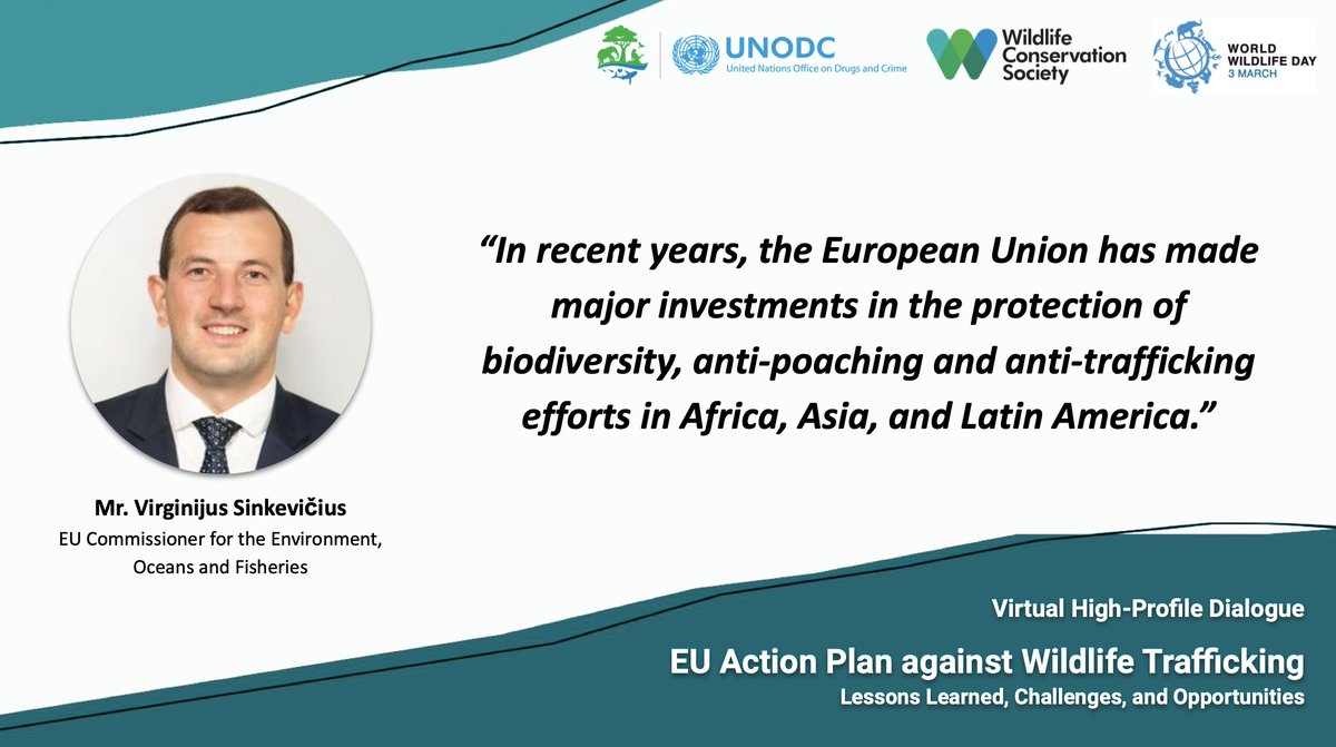 WCSBrussels's tweet photo. 📌 EU Action Plan against #WildlifeTrafficking: Lessons Learned, Challenges, and Opportunities 🐾🦎🐘🇪🇺
Message from EU Commissioner for the Environment, Oceans and Fisheries @VSinkevicius
#EUWAP #EUGreenDeal #EndWildlifeCrime #WWD2022 #worldwildlifeday @TheWCS @UNODC @EU_ENV https://t.co/mfvgvGGyel