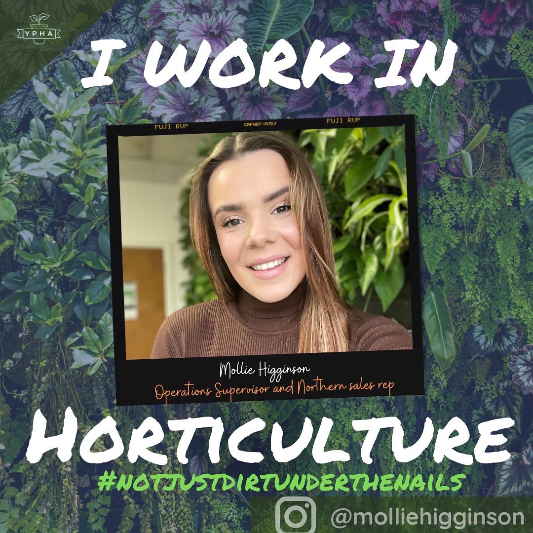 yphorticulture's tweet photo. Happy international women’s day! Here’s some of our fab YPHA women who work in horticulture
.
.
.
.
#notjustdirtunderthenails #horticulture #youngpeopleinhorticulture #ypha #internationalwomensday #internationalwomensday2022 https://t.co/RXKltPLDQl