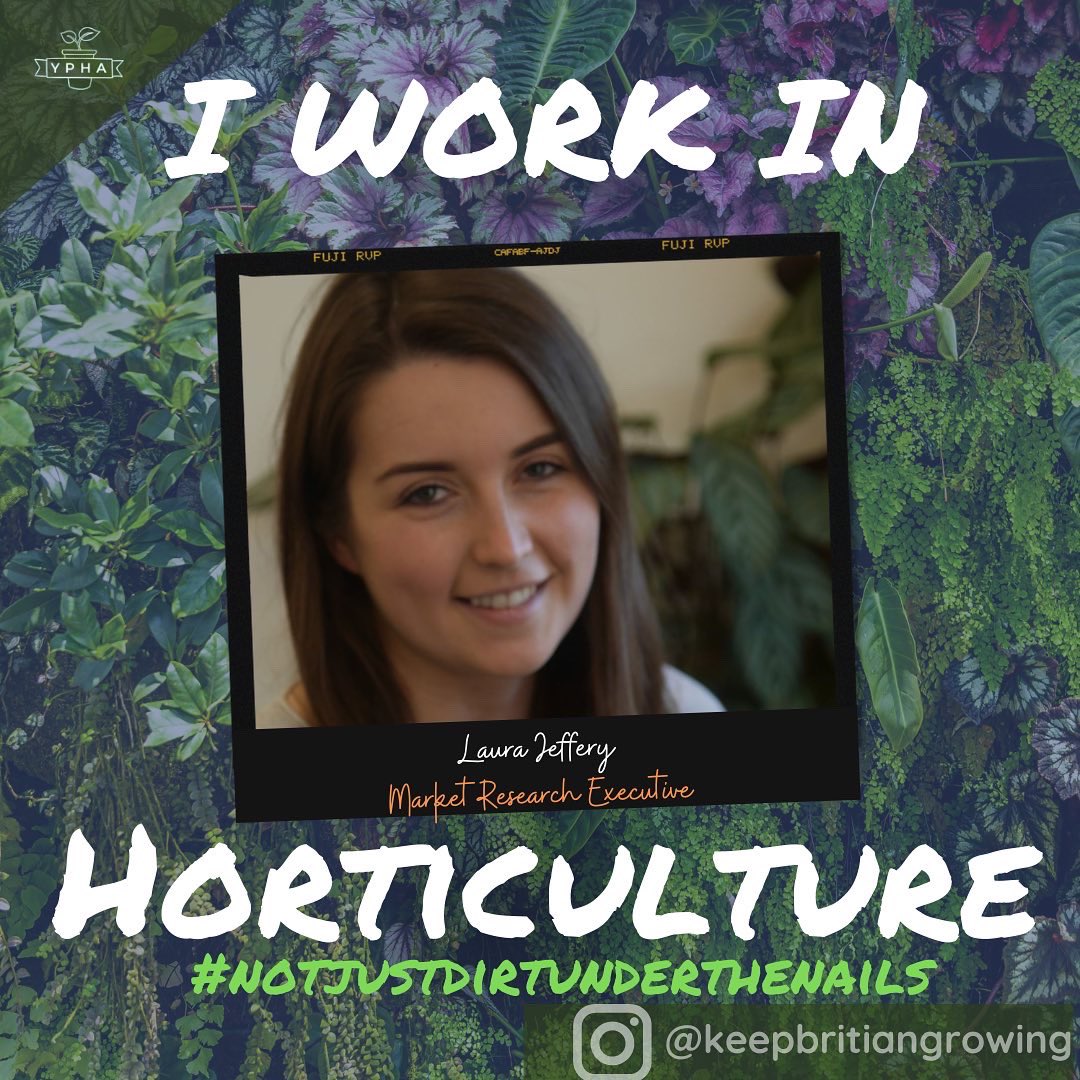 yphorticulture's tweet photo. Happy international women’s day! Here’s some of our fab YPHA women who work in horticulture
.
.
.
.
#notjustdirtunderthenails #horticulture #youngpeopleinhorticulture #ypha #internationalwomensday #internationalwomensday2022 https://t.co/RXKltPLDQl