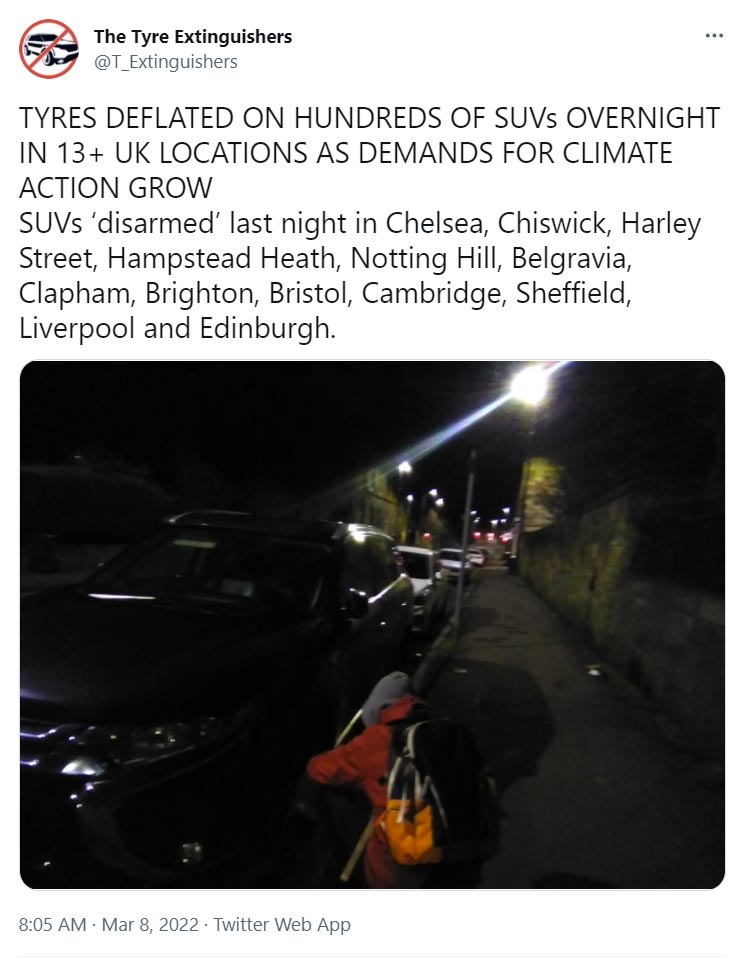 Lewis Kingston tweet media