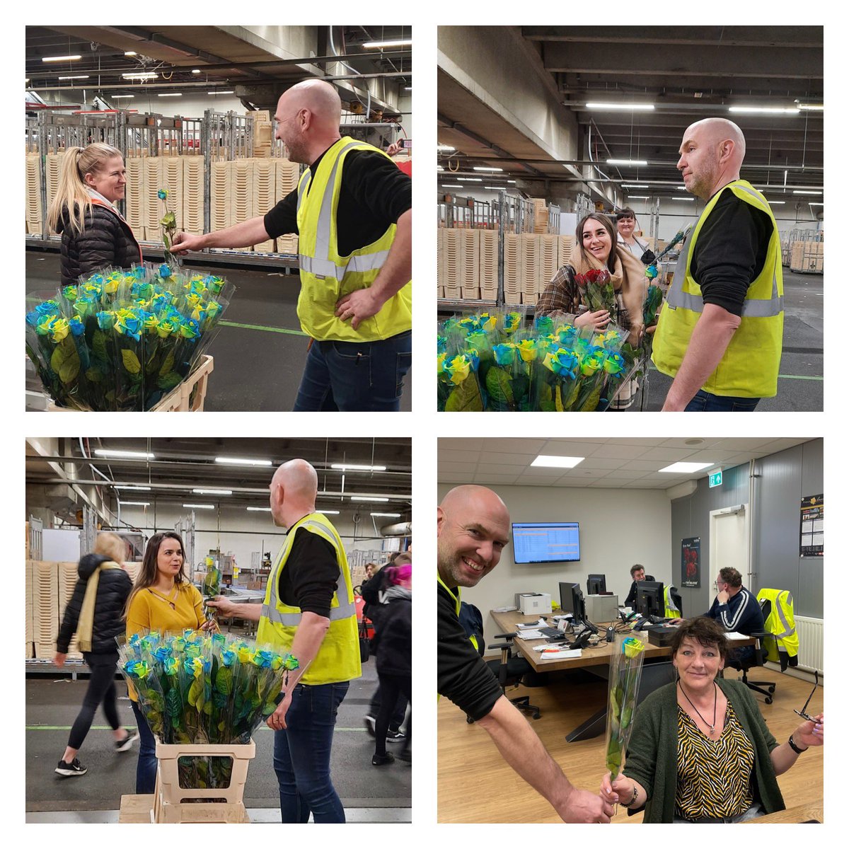 Happy women's day! Fresco Flowers gave all the women of the Fresco team a rose with the colors of Ukraine #womensday #lovenotwar #roses