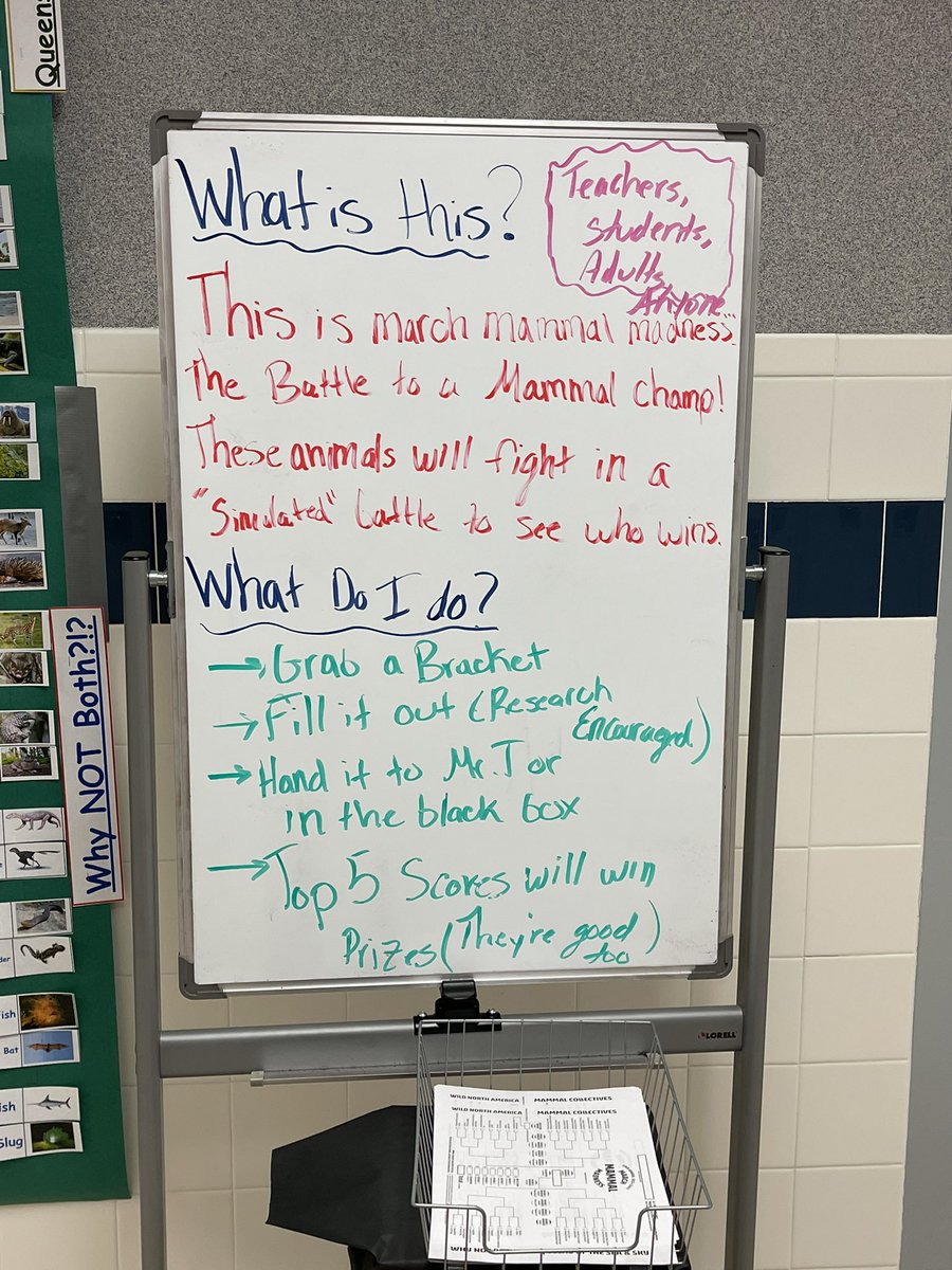 Elizabeth Brown tweet media