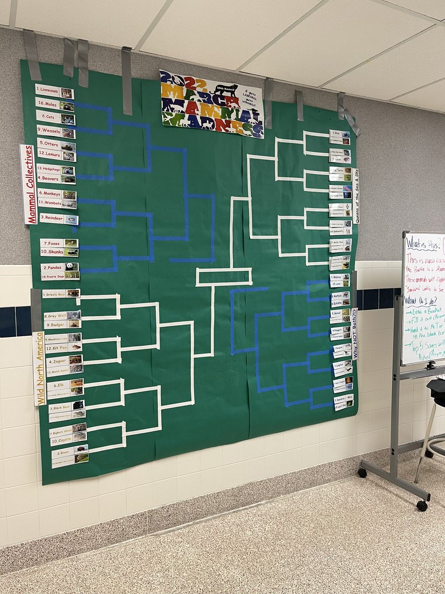 Elizabeth Brown tweet media