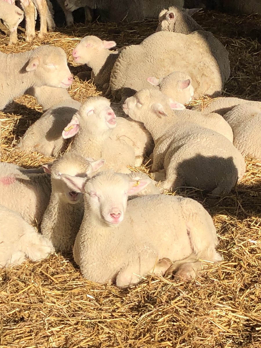 Beauty of a March morning. Soaking up the sun
