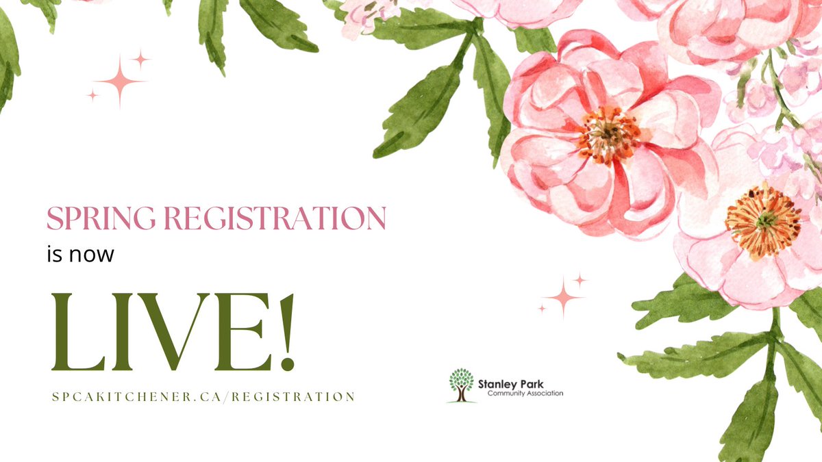SPCAKitchener's tweet photo. SPRING REGISTRATION IS NOW LIVE! 

Register for your favourite programs now! 

https://t.co/uTesSCR2nX 

#spring #leapintospring #spcakw #kwawesome https://t.co/OucVmNCOhP