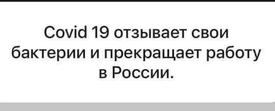 Alexander Smith (@finalsensible) on Twitter photo 