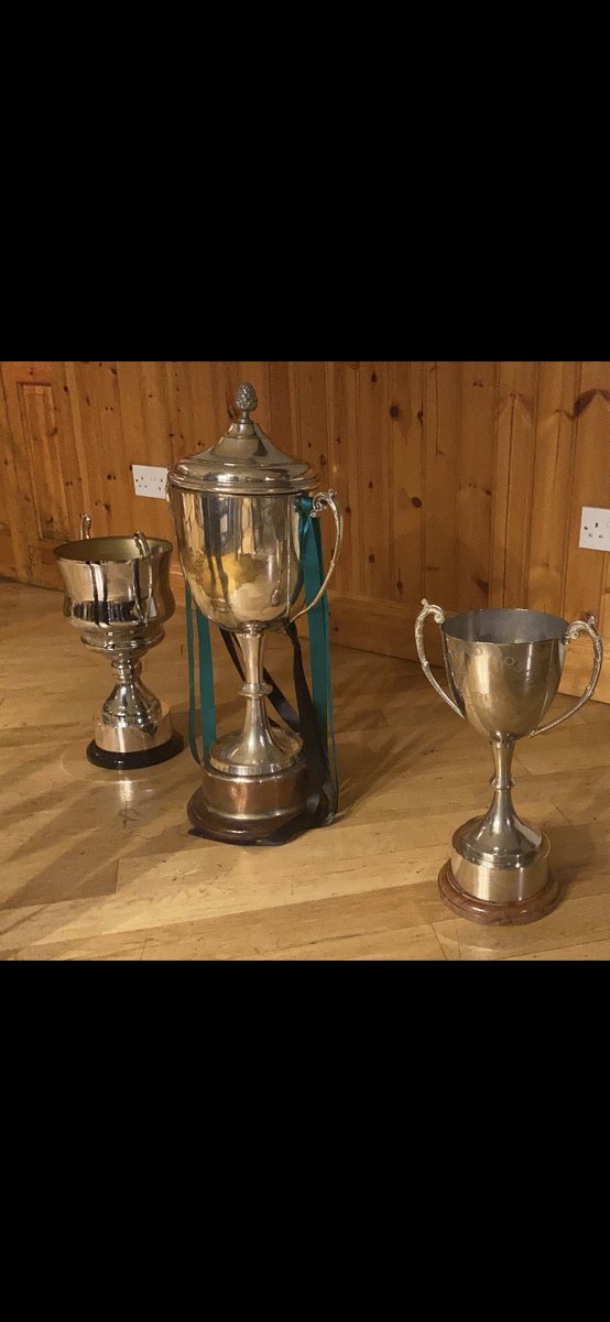 AshStevenson8's tweet photo. END GAME !!! What a season … what a club @AfcBallyheane , and what a squad of exceptional individuals………History made. https://t.co/7VG7xfNsvX