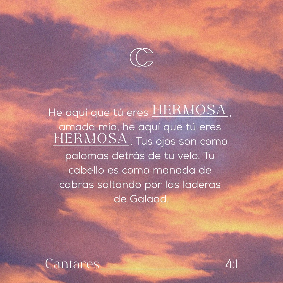 PastorCashLuna's tweet photo. Dios te ha dado infinitas habilidades para amar, servir, destacar, administrar, apoyar, sustentar. ¡Eres bendita, virtuosa, privilegiada! ¡Toda mi admiración para ti, mujer! https://t.co/SgtQyVzSJt