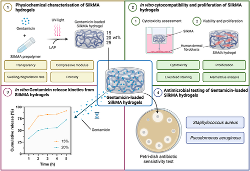Anita Ghag (@anita_ghag) on Twitter photo Excited to share our latest publication by @iniciativa__ outlining the development of photocurable antimicrobial silk-based hydrogels for corneal repair in <a href="/SFBiomaterials/">SFBiomaterials</a> Journal of Biomedical Materials Research Part A with <a href="/sophieccox/">Sophie Cox</a> @KennyMan888 <a href="/sophie_louth/">Sophie Louth</a> <a href="/_TomERobinson/">Dr Tom Robinson</a> Excited to share our latest publication by @iniciativa__ outlining the development of photocurable antimicrobial silk-based hydrogels for corneal repair in <a href="/SFBiomaterials/">SFBiomaterials</a> Journal of Biomedical Materials Research Part A with <a href="/sophieccox/">Sophie Cox</a> @KennyMan888 <a href="/sophie_louth/">Sophie Louth</a> <a href="/_TomERobinson/">Dr Tom Robinson</a>