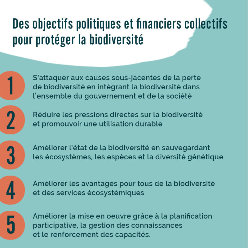 IFD_Paris's tweet photo. 🌱 La #biodiversité, c'est quoi ❓
🔍 Notions essentielles 
🔗 Liens entre #Économie et biodiversité 
À l'occasion de la sortie de notre rapport #Finance &amp; biodiversité qui sera présenté le 16 mars prochain, découvrez le premier extrait dédié aux enjeux clés 🌍⤵️