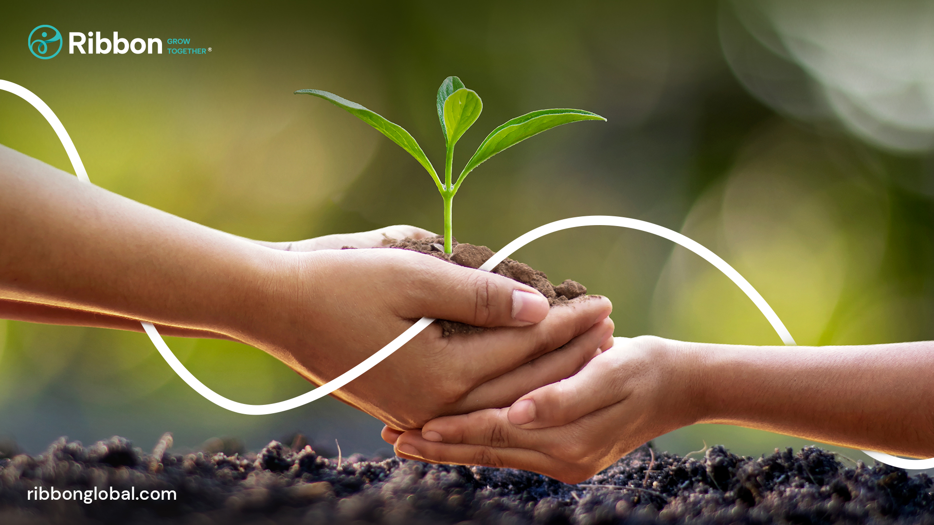 Ribbon Plc (RibbonPlc) / Twitter