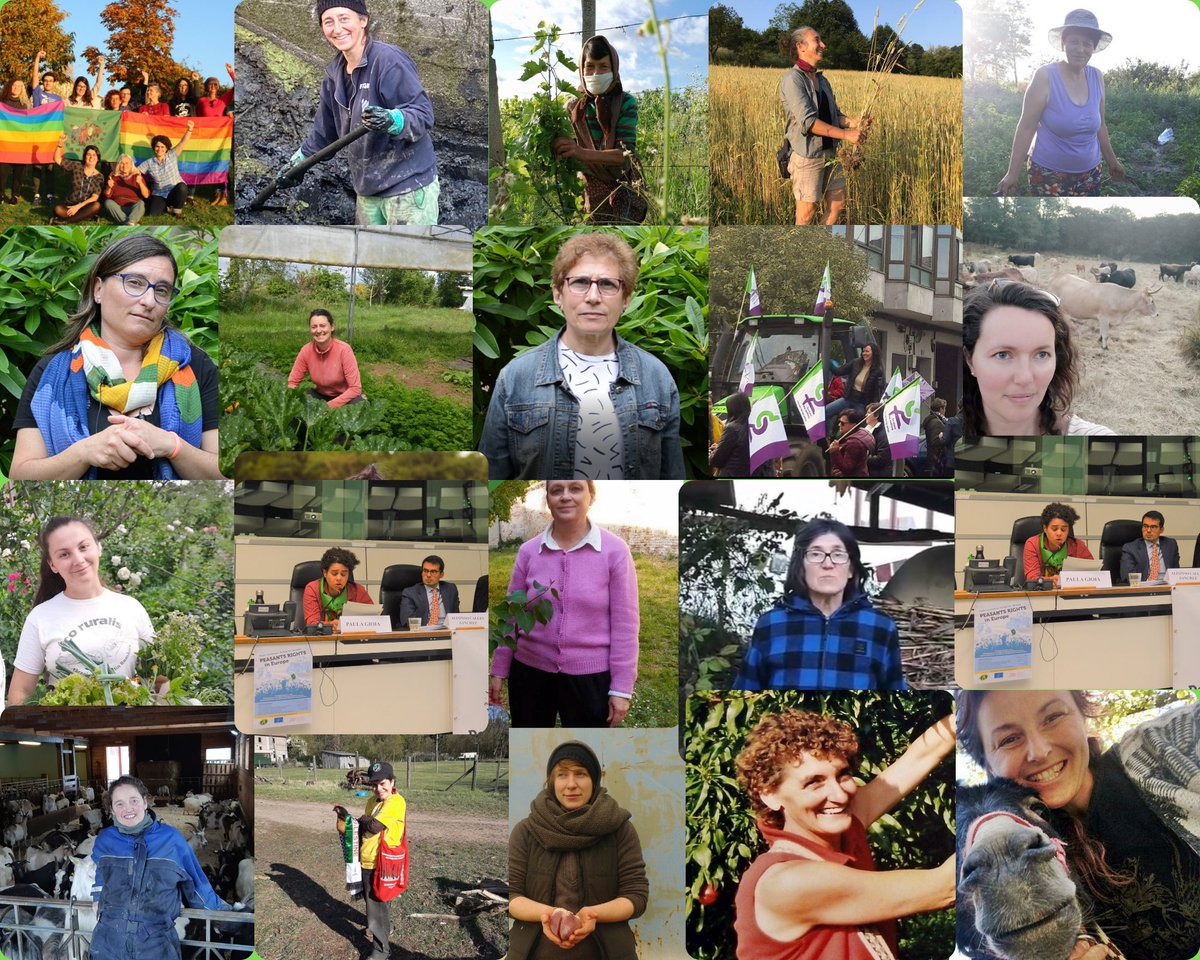 ECVC1's tweet photo. On International Women's Day, the ECVC Women's Articulation demands concrete action to protect the rights of women and people from the LGBTQI+ community. 👩🏿‍🌾👩🏾‍🌾👩🏻‍🌾👩🏼‍🌾#InternationalWomensDay

Read more here: https://t.co/4LpymZrDvL https://t.co/OL8cOcIy4T