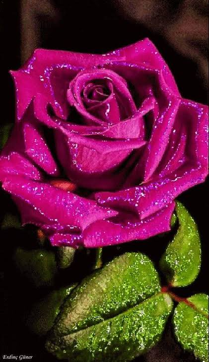 celmycauic's tweet photo. Feliz dia de la mujer 8 de marzo 2022 ❤️🌹🤗 https://t.co/qepLHaEHUJ