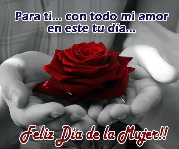 Ricura693's tweet photo. #8Mar  |🇻🇪📢 ¡ETIQUETA DEL DÍA!▶️

#MujerEsPatria

Hoy dia de la Reivindicación a la mujer felicito a cada una de estas mujeres que hoy en día siguen luchando.

@gestionperfecta @ConCiliaFlores @delcyrodriguezv @taniapsuv @ErikaPSUV https://t.co/UqD5WeuYyu