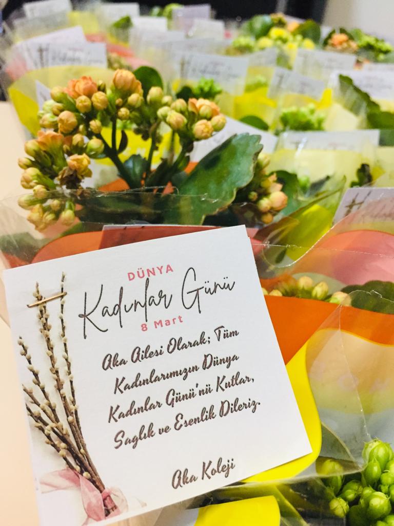 Aka Koleji (@aka_koleji) on Twitter photo 