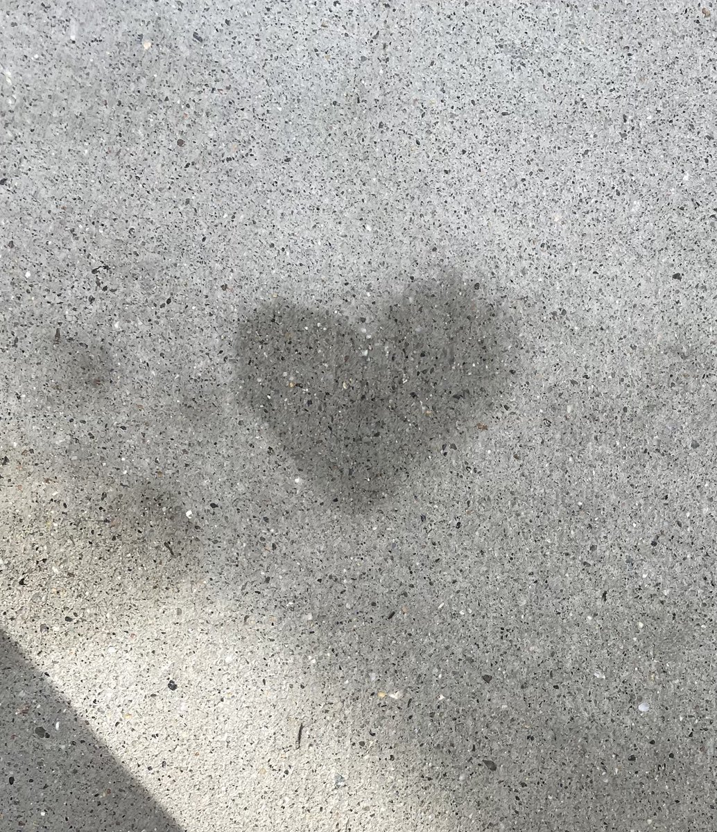 IgniteHappy's tweet photo. Connect to what warms your heart too •)
“I saw this wet spot on the sidewalk today and thought of Ignite Happy” - Steven J
#love #connectwithheart #connection #ignitehappy #liveyourpossible #heart #greatermeaning #nature #sidewalkart https://t.co/iwTHy9zYwx