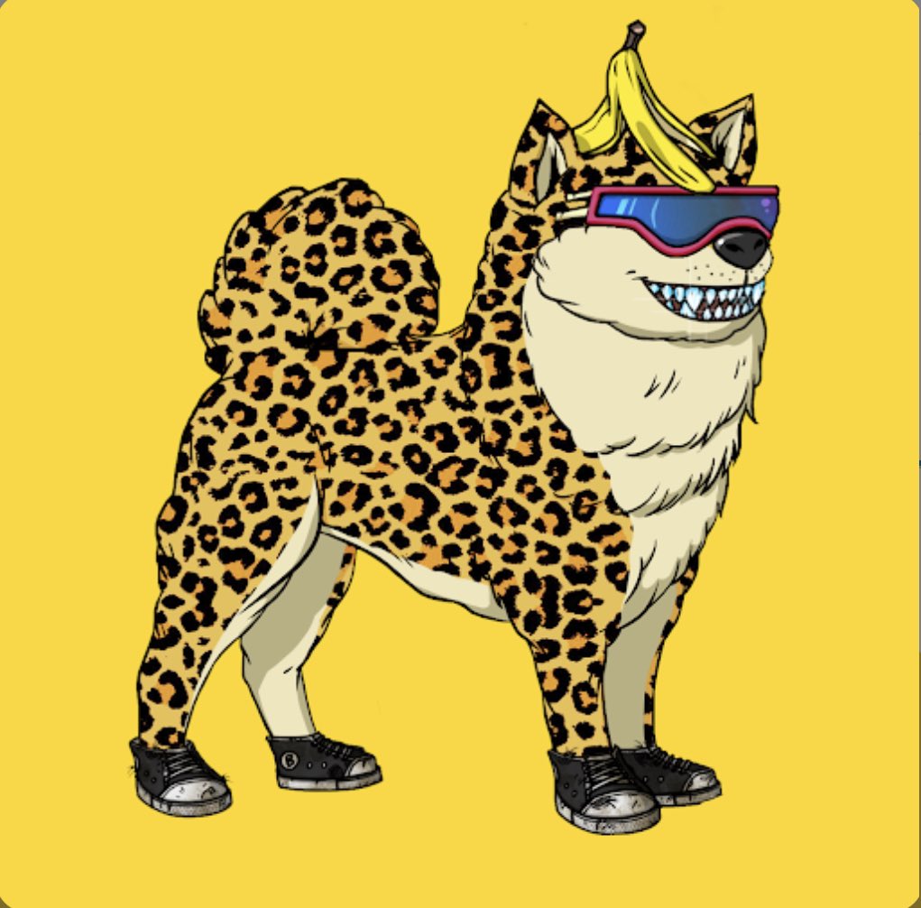 nahtan30's tweet photo. @RaidensHQ @0xMAYC Diamond teeth gang #0xBAKC https://t.co/o3GQuO3f6k