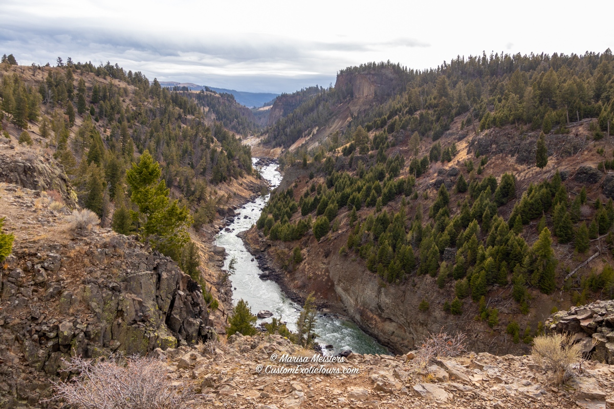 WorldwideXplore's tweet photo. When visiting #Yellowstone National Park, be sure to take a #hike or two.

#USAtravel #TRLT #travelwithus #NationalParks #softadventure #naturelovers #hiking #beautifulplaces #naturephotography #YellowstoneNationalPark #Wyoming #UNESCO #UNESCOworldHeritage #riverview #river https://t.co/t3FVddlPwl
