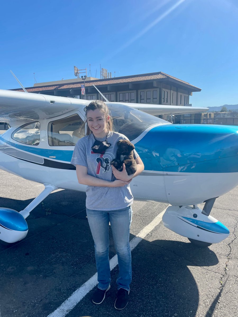 PilotsNPaws's tweet photo. The dog mom was found tied to a tree and had puppies. The rescuers quickly arranged her transportation with three pilots Jeff, Kenna, and Easton. Huge thanks to and all the volunteers that are carrying out PNP’s mission, we sincerely appreciate the work you’re doing. 🐾 https://t.co/sFSQzKj8Br
