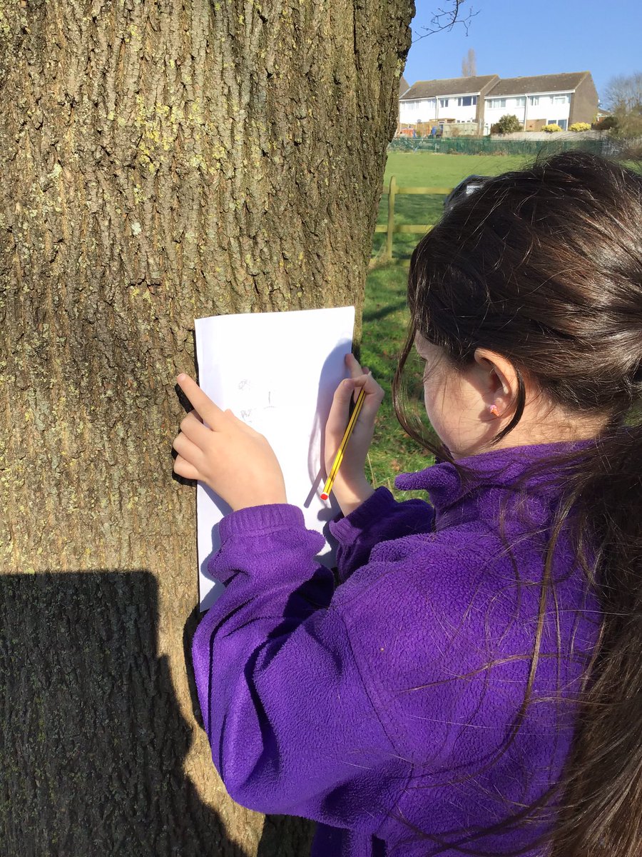 amberEPS's tweet photo. We have enjoyed our science lesson this morning, thinking about how nutrients and water are important for the plant. We observed some of the plants in forest school and drew them @ScienceEps @PrimaryElaine https://t.co/TCahXSIoQv