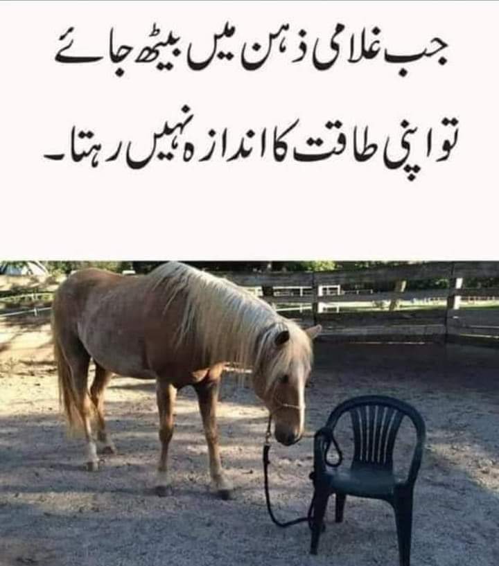 Urdu Poetry on Twitter: Urdu Poetry on Twitter: