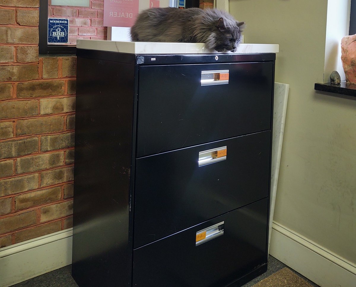 CatWorkers's tweet photo. (Rocky update!)
"Rocky was doing quality control checks on the new shipment of marble slabs." https://t.co/wE7LabqCSi