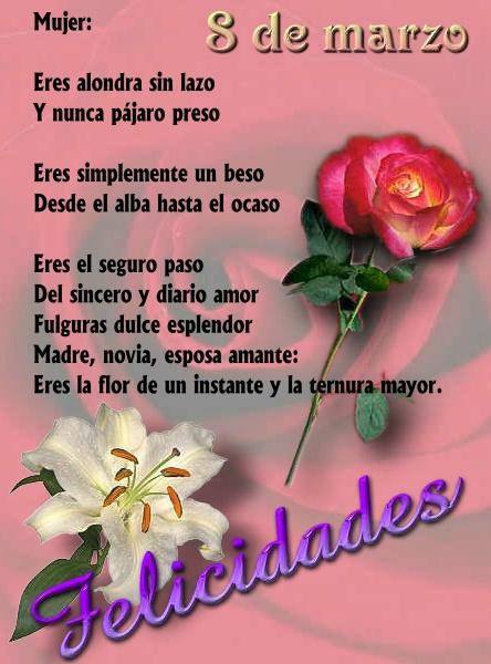 DguezYami's tweet photo. Felicidades a todas las mujeres del mundo!!!! https://t.co/ERktxPerxo