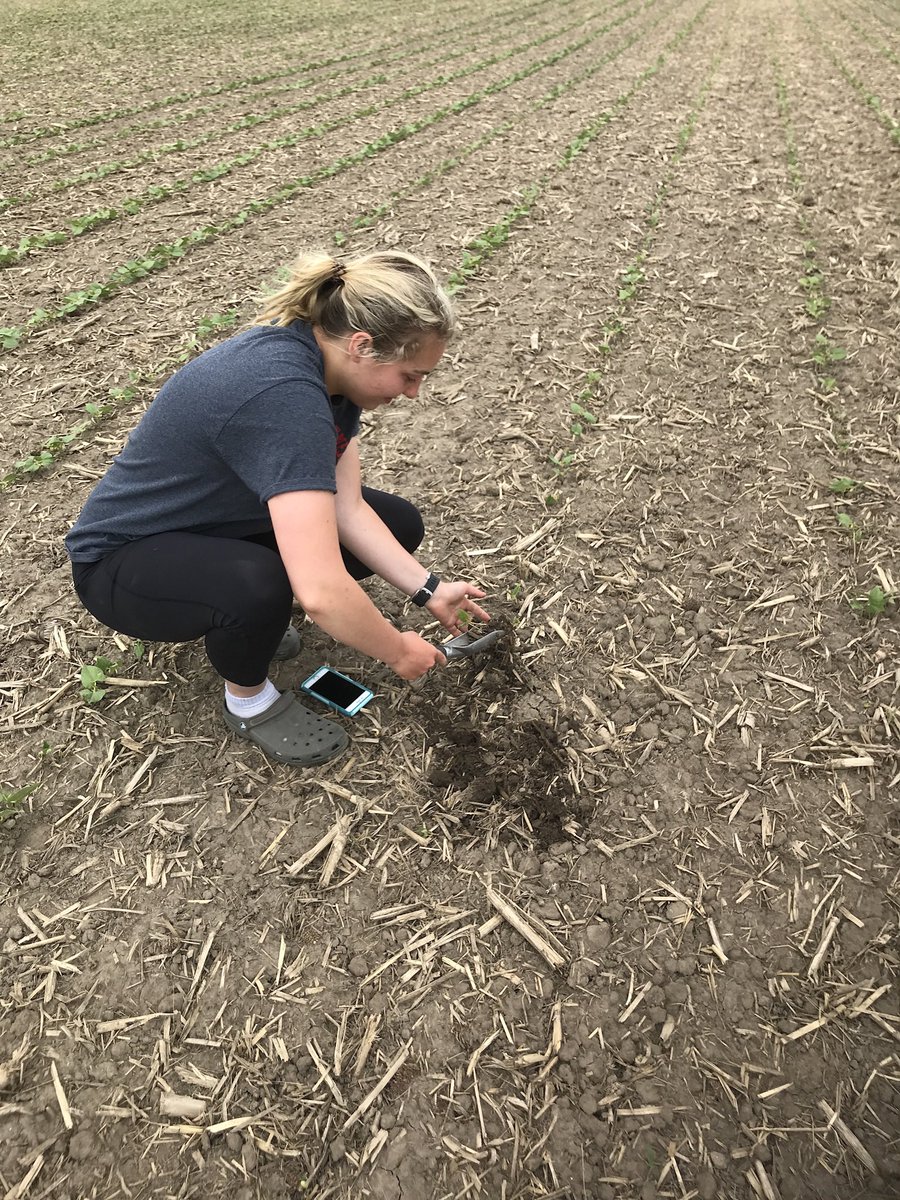 Dan Veldman tweet media