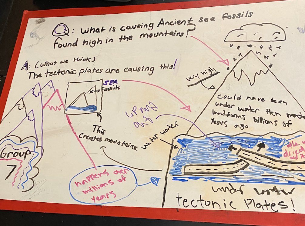 George Nelson tweet media