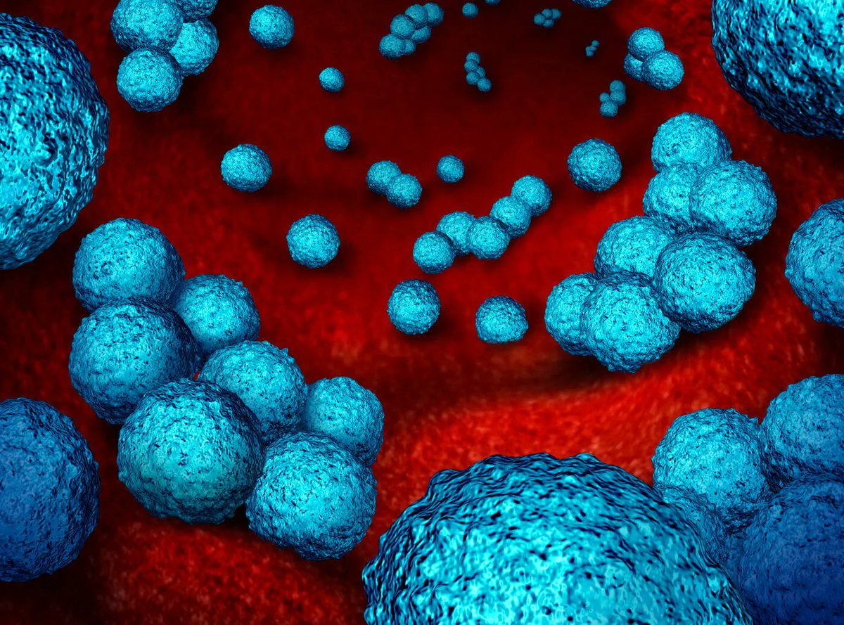 patternfox1's tweet photo. A molecule could replace anti-biotics medicine in favor of new bio-inspired pro-immune stimulants.
https://t.co/qIhJ9XIZWf https://t.co/ZAhAypZqOC