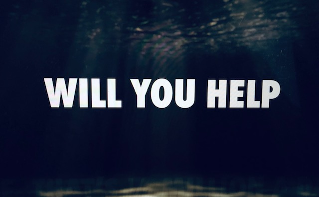 Save the Severn Estuary tweet media