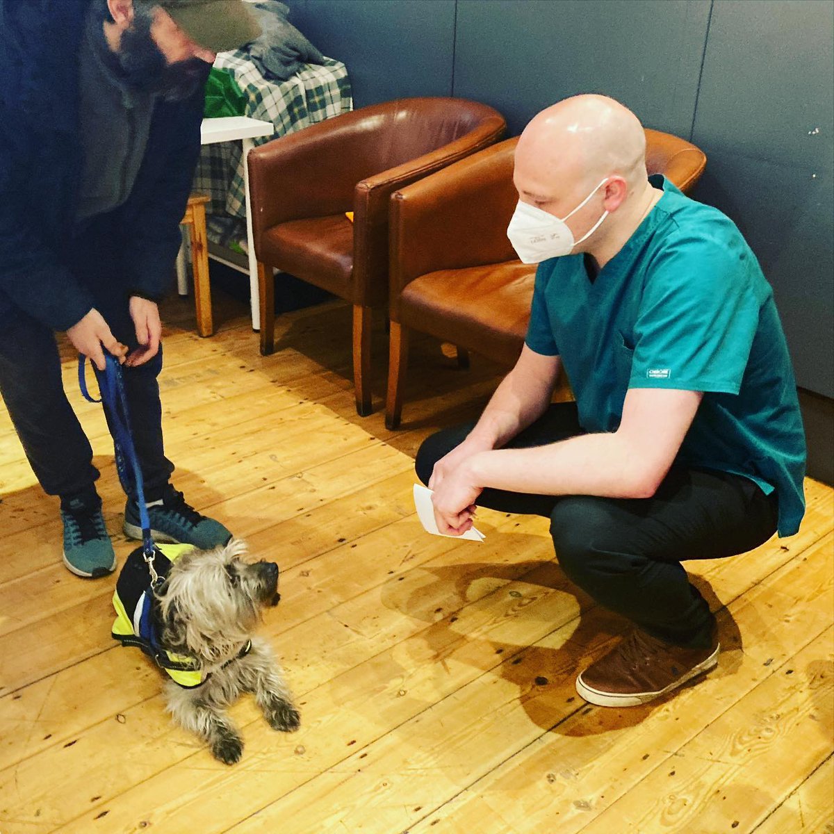 A massive thank you to @VetOnTheHillHQ  in Richmond who is now running a monthly free vet drop-in for guests of the Vineyard Community Centre🙏🐶🐱

Today the vet saw several dogs, two of whom were previously homeless...

(1/2)