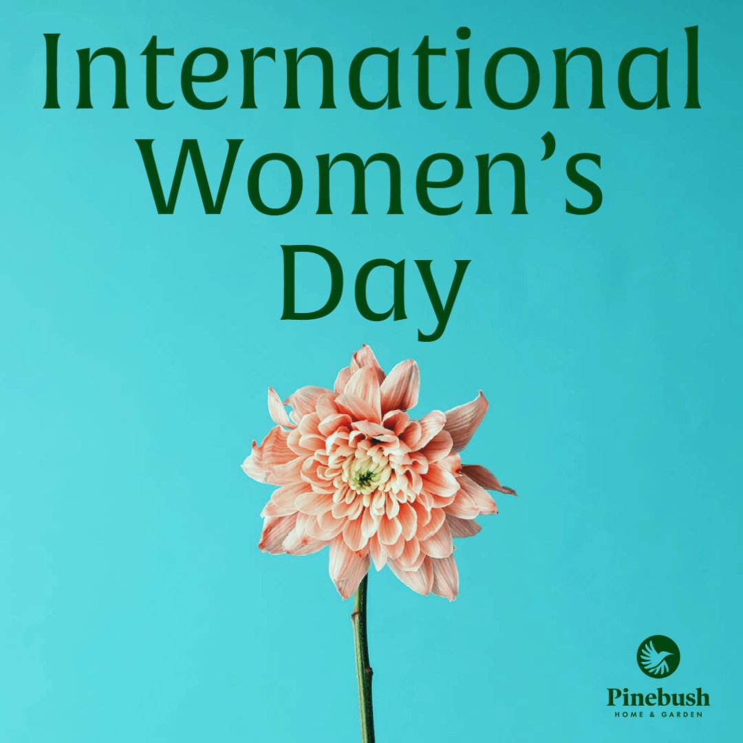Pinebushhg's tweet photo. Today is International Women's Day. We would like to say to all the women on our team, in our families and out in the world today, we celebrate you!

#womensday #internationalwomensday #womenpower #girlpower #pinebush #womeninbusiness  #womeninbirding #happywomensday https://t.co/Va4jYLP4Br