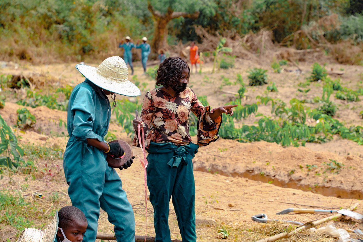 step_iita's tweet photo. Still celebrating our women, a driving force of change in the fight against hunger and poverty. 
#breakthebias2022 #IWD2022 #InternationalWomensDay 
@IITA_CGIAR @IITAYOUTHAGRIP @RadioIITA https://t.co/d8uNG5gjQh