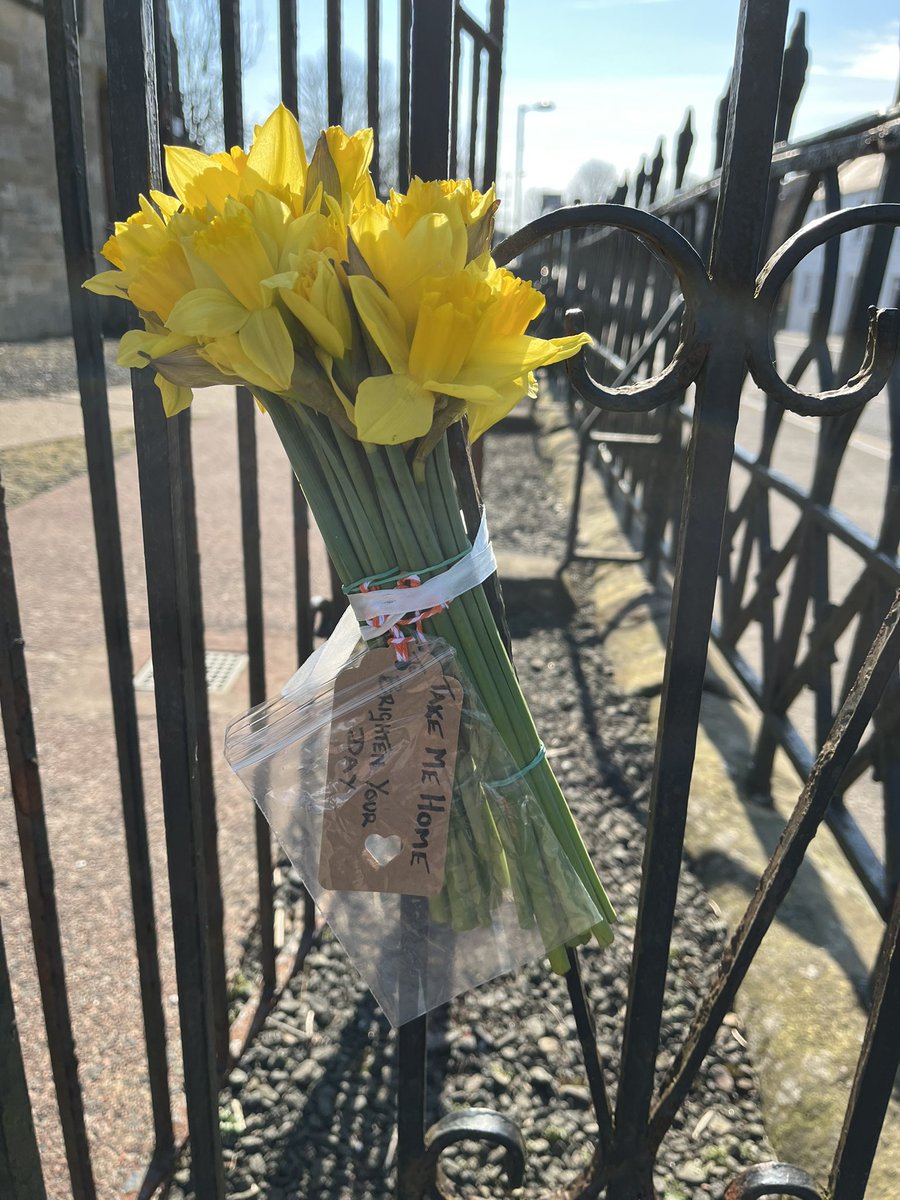 NeilstonChurch's tweet photo. Happy daffodil hunting! #seeyouatNPC  #seeyouatNeilstonParishChurch https://t.co/EkgCb6E6TT