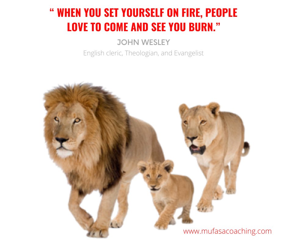 MufasaCoaching's tweet photo. When you #setyourselfonfire people notice the #light or the spark and get warmth from your fire.
So in essence if we don't truly #followourpassions we are #hindering ourselves from being the light that we are called to be.
#Leaders how do you #setyourselfonfire?
#Leadership https://t.co/BUa4VaIUkB