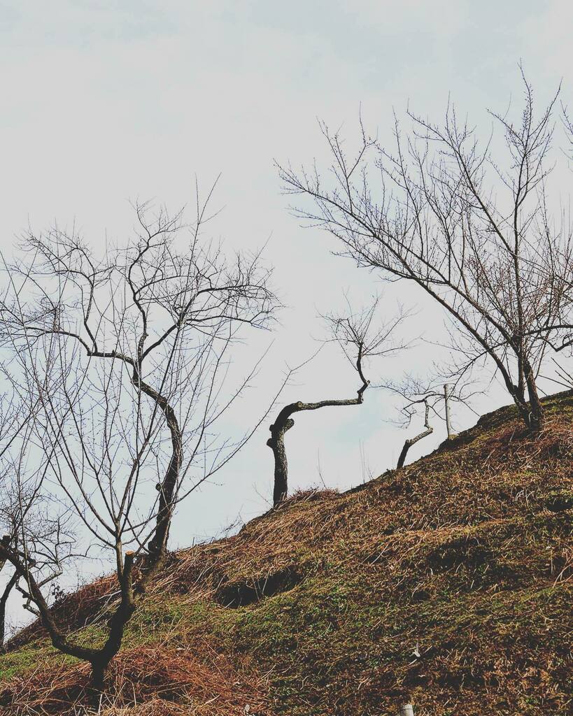 daisuke005's tweet photo. #風景 #風景写真 #landscape #landscapephotography #photography #photographer #traveller #旅人 #tourist #followforfollowback https://t.co/DV4DtqM1TT