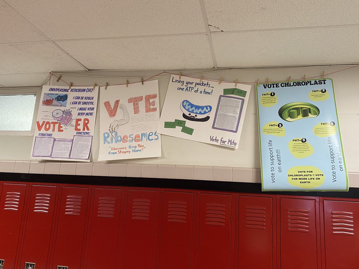 WHS SCIENCE tweet media