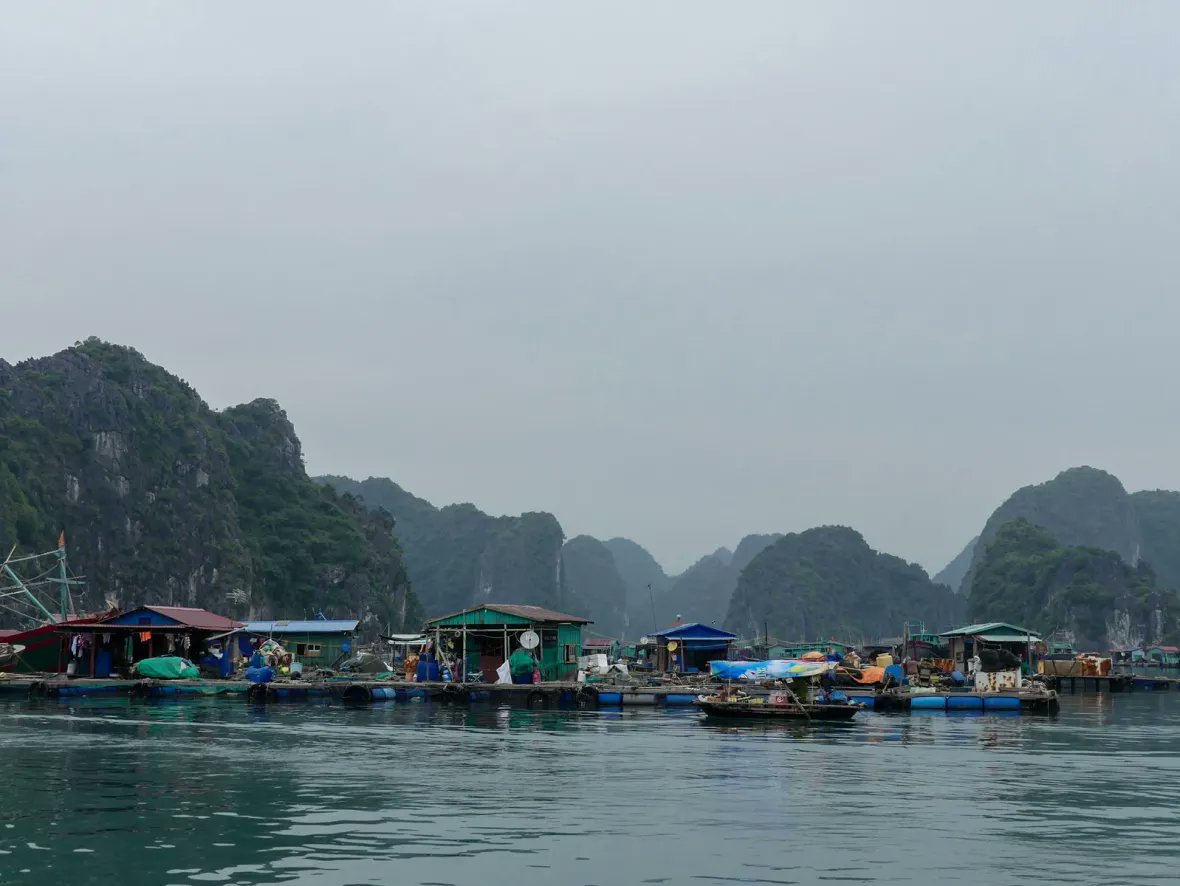 T11018423Hoa's tweet photo. Catba Island https://t.co/mf6tbtiYCN