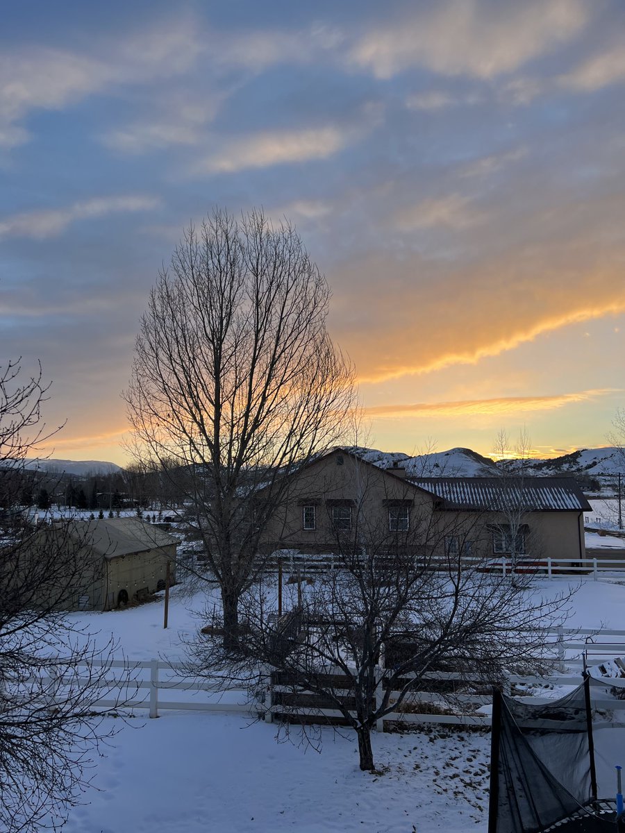 DevilsCoach75's tweet image. Blessed with another day!!!