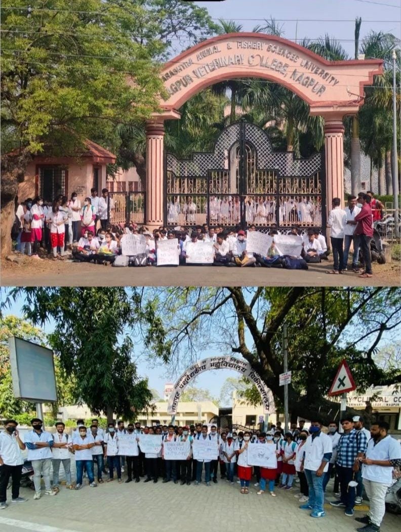 Rinal16243036's tweet photo. #increase_vet_stipend #vets_on_strike
माननीय मुख्यमंत्री साहेब , पशु चिकिस्ता विज्ञान आंतरवासिय भत्ता ची वाढ होऊन ती १५,००० ते १८,००० करावी ही नम्र विनंती .
@CMOMaharashtra 
@AjitPawarSpeaks 
@SunilKedar1111 
@Dev_Fadnavis 
@abpmajhatv 
@Sports_NDTV 
@zee24taasnews https://t.co/dyHGWKDyv6