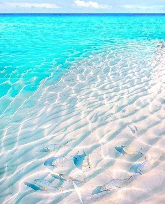 …

..

……………………………………..
يابحر مامرو على جال شاطيك 
ناس ًً ليا مرو تذوب الملوحه
(مجنونك)