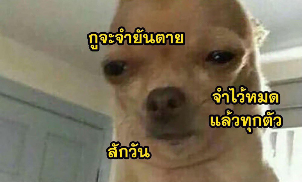 @twomaytwsxg หมาที่ไม่สบายแล้วยังโดนถามฟามเห็น :