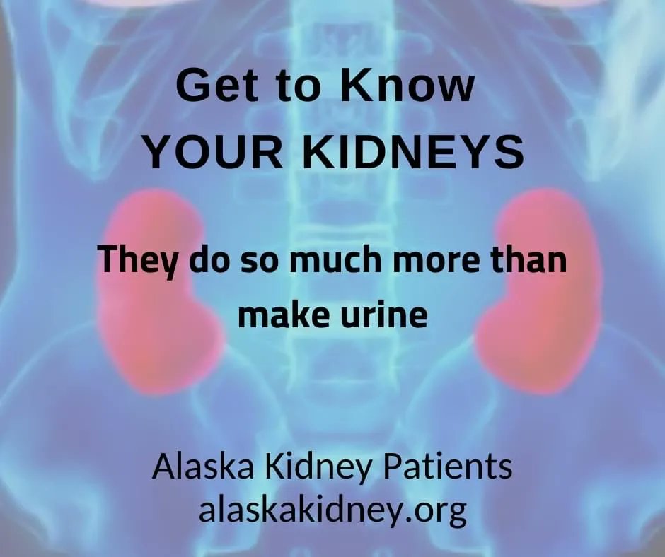 AK Kidney Patients tweet media