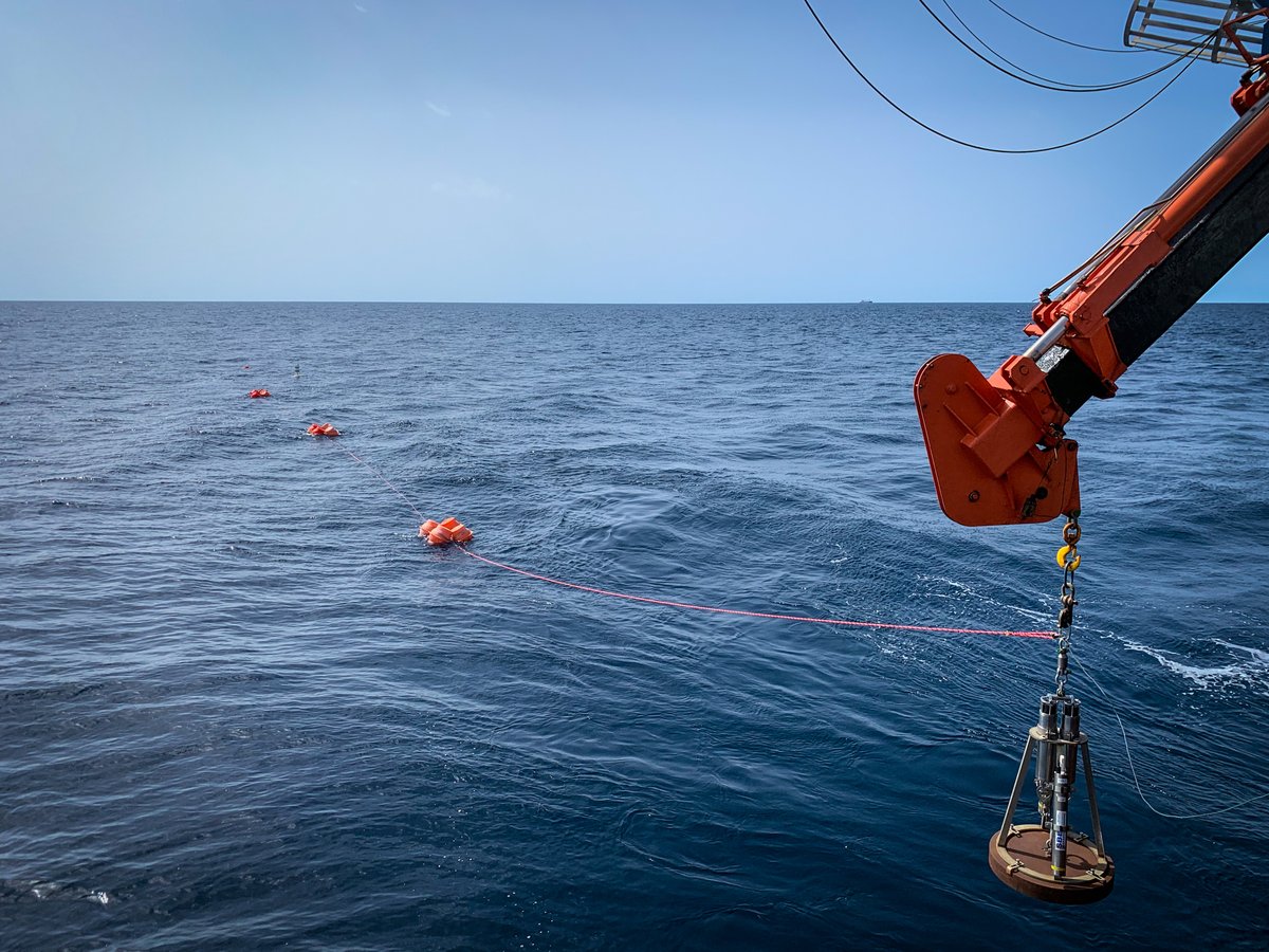 NOCnews's tweet photo. #DY146 completed ✅
#RRSDiscovery has returned to Southampton after a successful RAPID expedition!
What's next? #DY149 will trial Autonomous Underwater Vehicle sensors at the Iberian Upwelling as part of the Oceanids programme.
#NMF #OceanFocused #OceanExploration https://t.co/rw2j6rsuyb